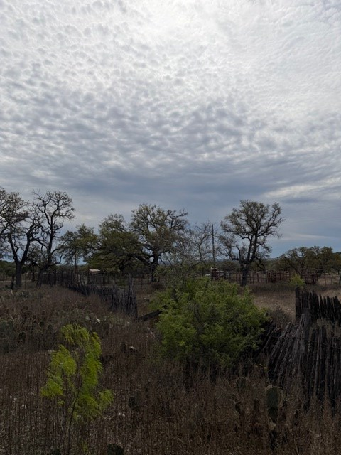 4214 Weisenburg Road Junction, TX 76849 - Photo 21 of 25