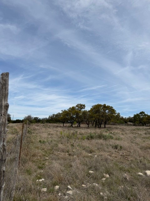 4214 Weisenburg Road Junction, TX 76849 - Photo 5 of 25