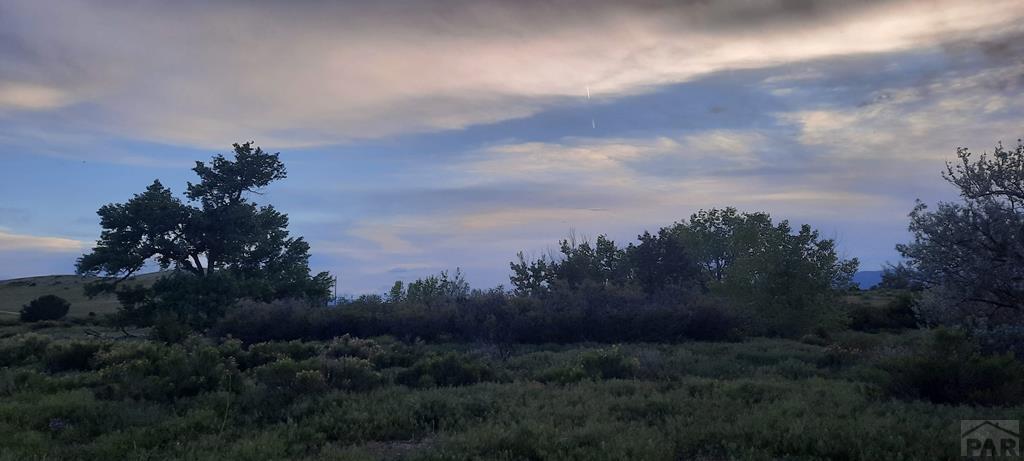 Tbd Southeast Tbd Se Lonesome Whistle Road Rye, CO 81069 - Photo 21 of 42