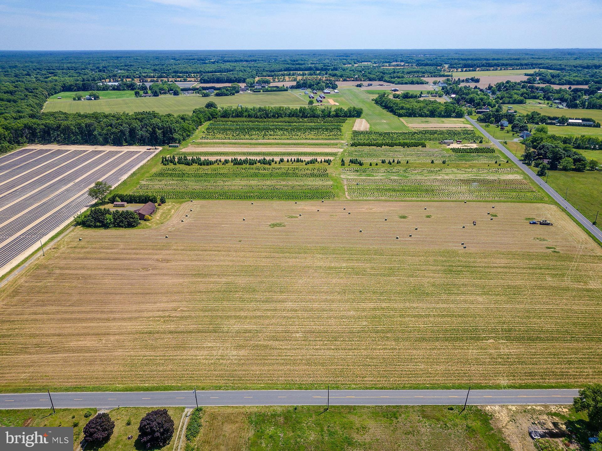 120 Richards Road Bridgeton, NJ 08302 - Photo 42 of 48 Property 17.5 Acres