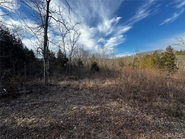 $249,000 | 19824 Highway 49, Black, MO 63625