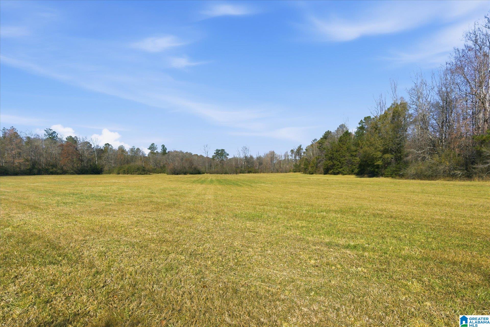 0 County Road 84 Heflin, AL 36264 - Photo 16 of 20