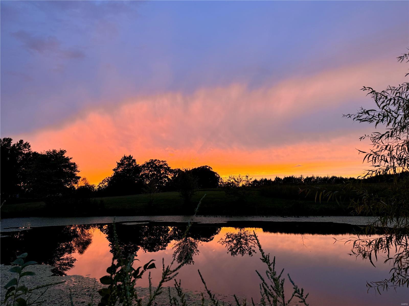 6485 Evergreen Loop Leslie, MO 63056 - Photo 4 of 67