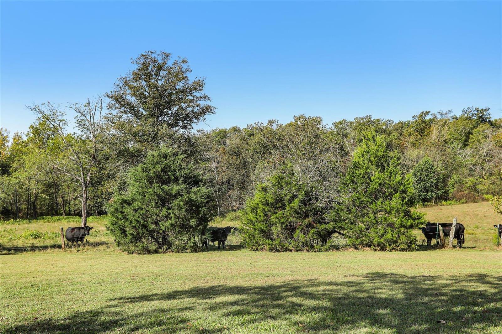 6485 Evergreen Loop Leslie, MO 63056 - Photo 42 of 67