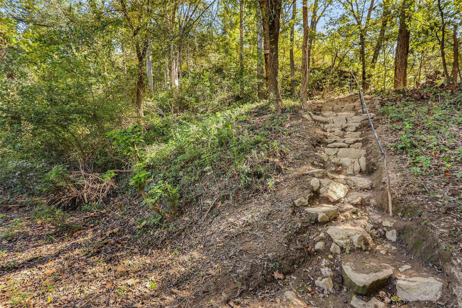 6485 Evergreen Loop Leslie, MO 63056 - Photo 53 of 67