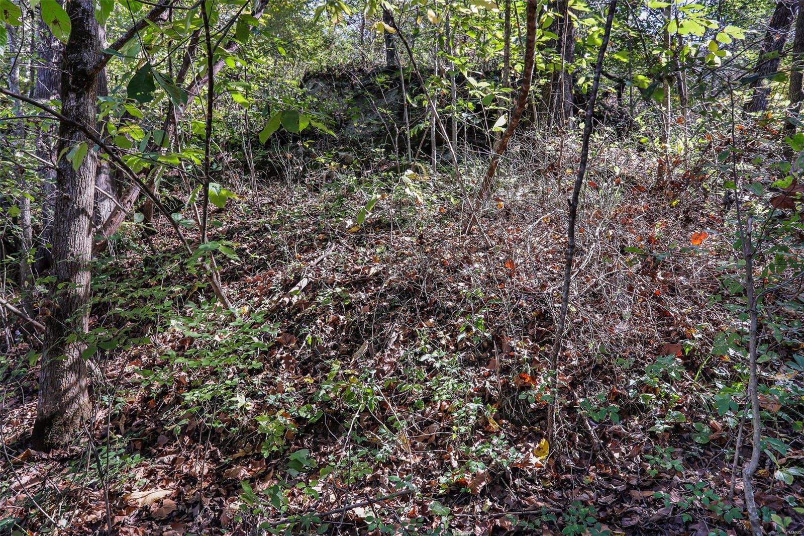 6485 Evergreen Loop Leslie, MO 63056 - Photo 54 of 67