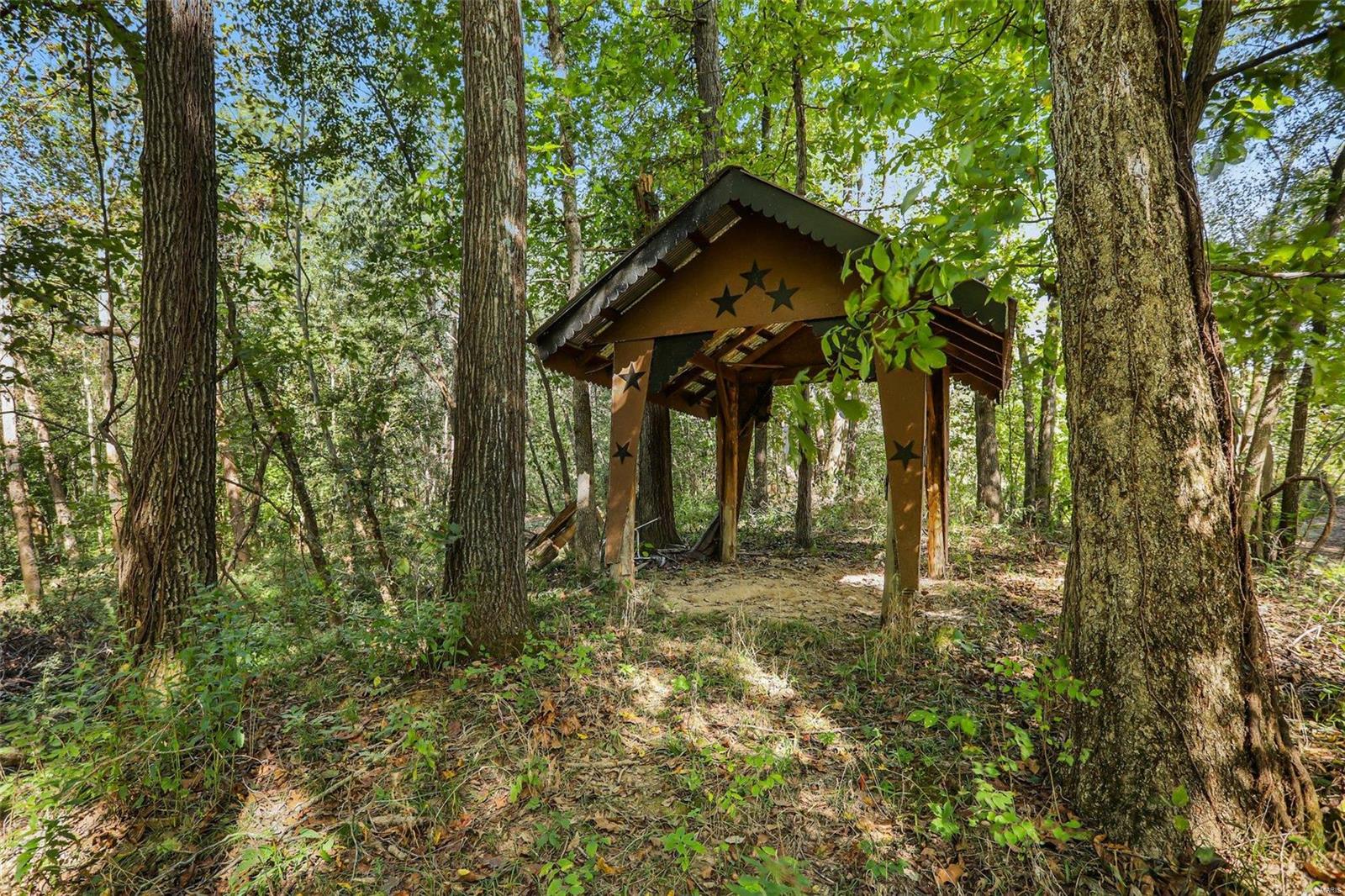 6485 Evergreen Loop Leslie, MO 63056 - Photo 57 of 67