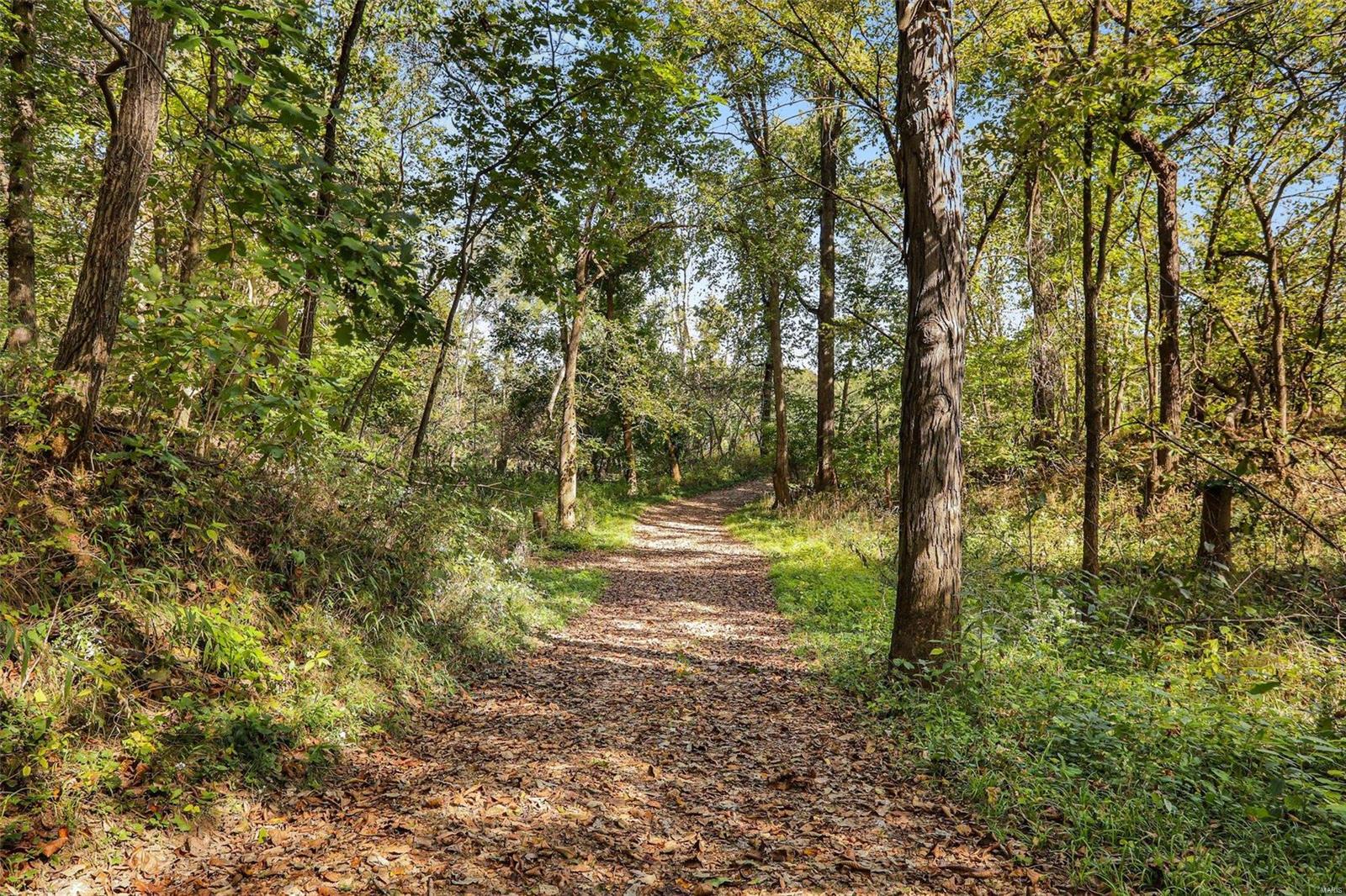 6485 Evergreen Loop Leslie, MO 63056 - Photo 58 of 67