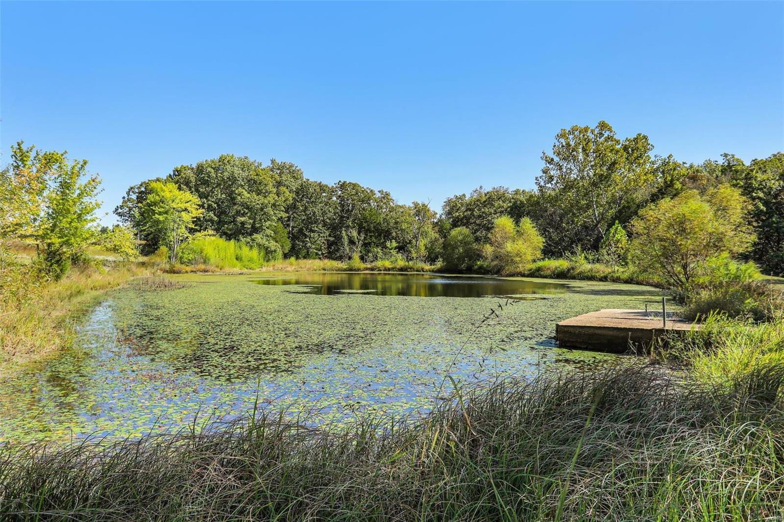 6485 Evergreen Loop Leslie, MO 63056 - Photo 8 of 67