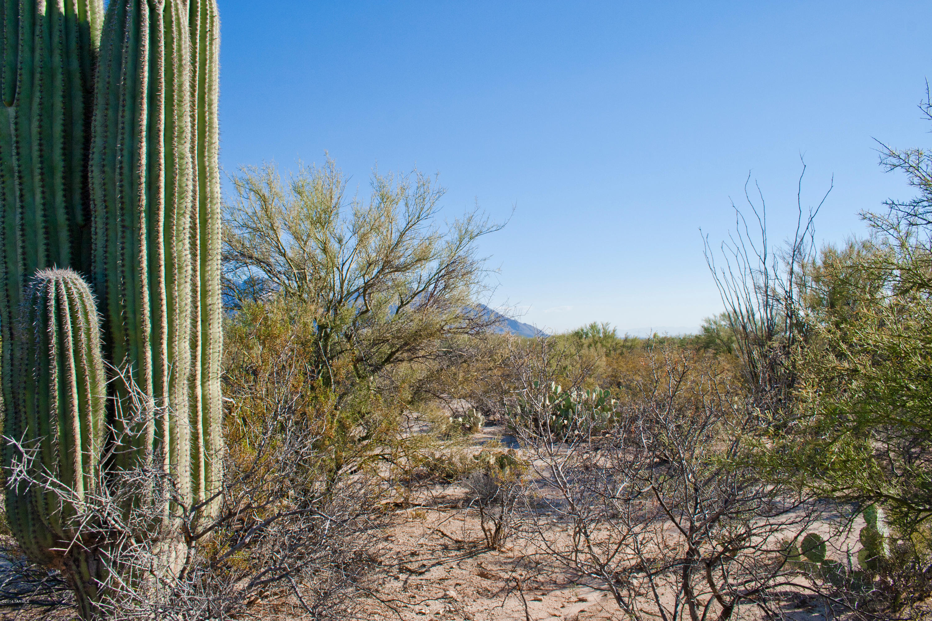 1697 West Moore Road Tucson, AZ 85755 - Photo 2 of 14 Gallery Image 2