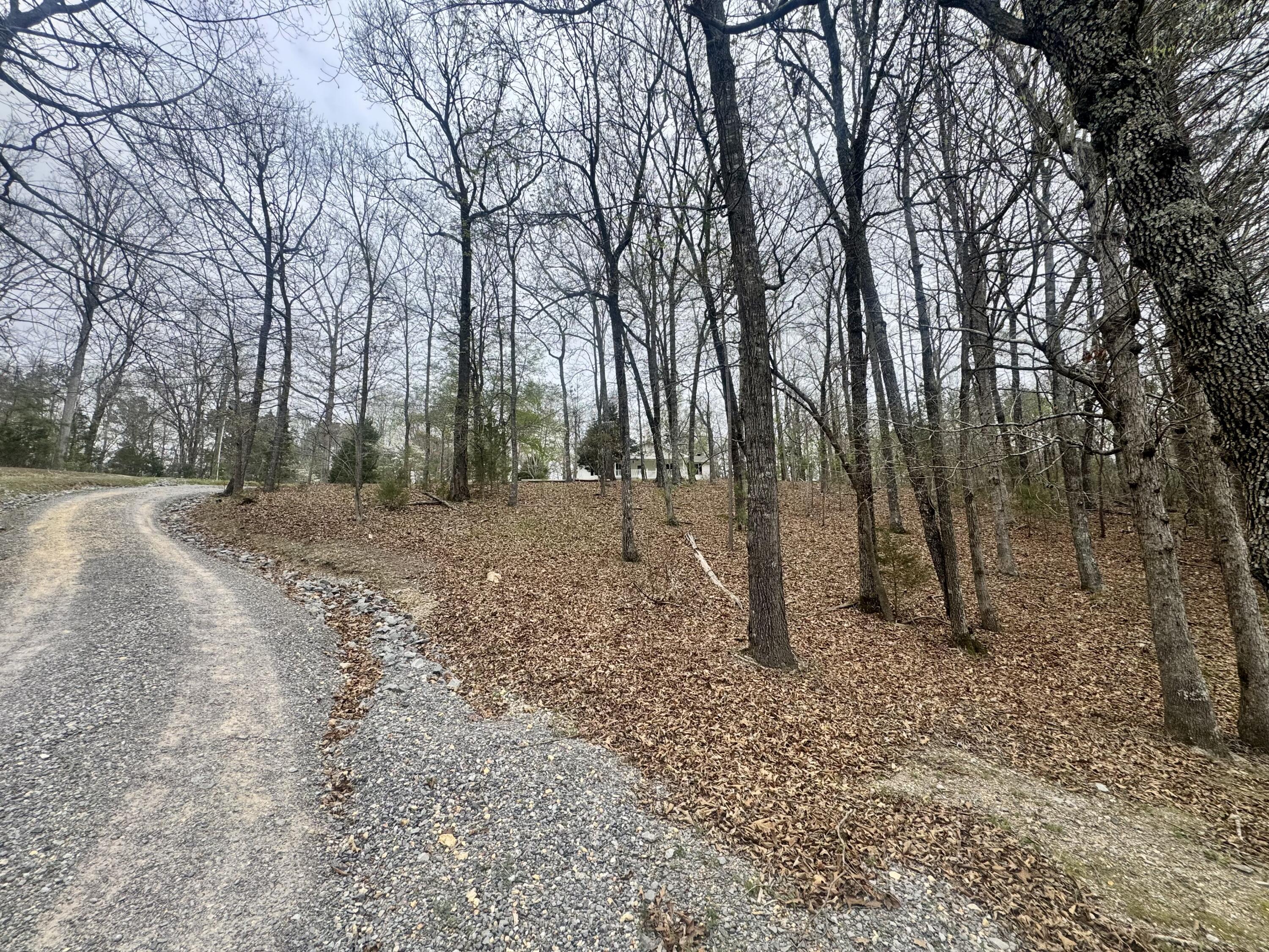 1801 Colbert Hollow Road Rock Spring, GA 30739 - Photo 32 of 38 IMG_2679