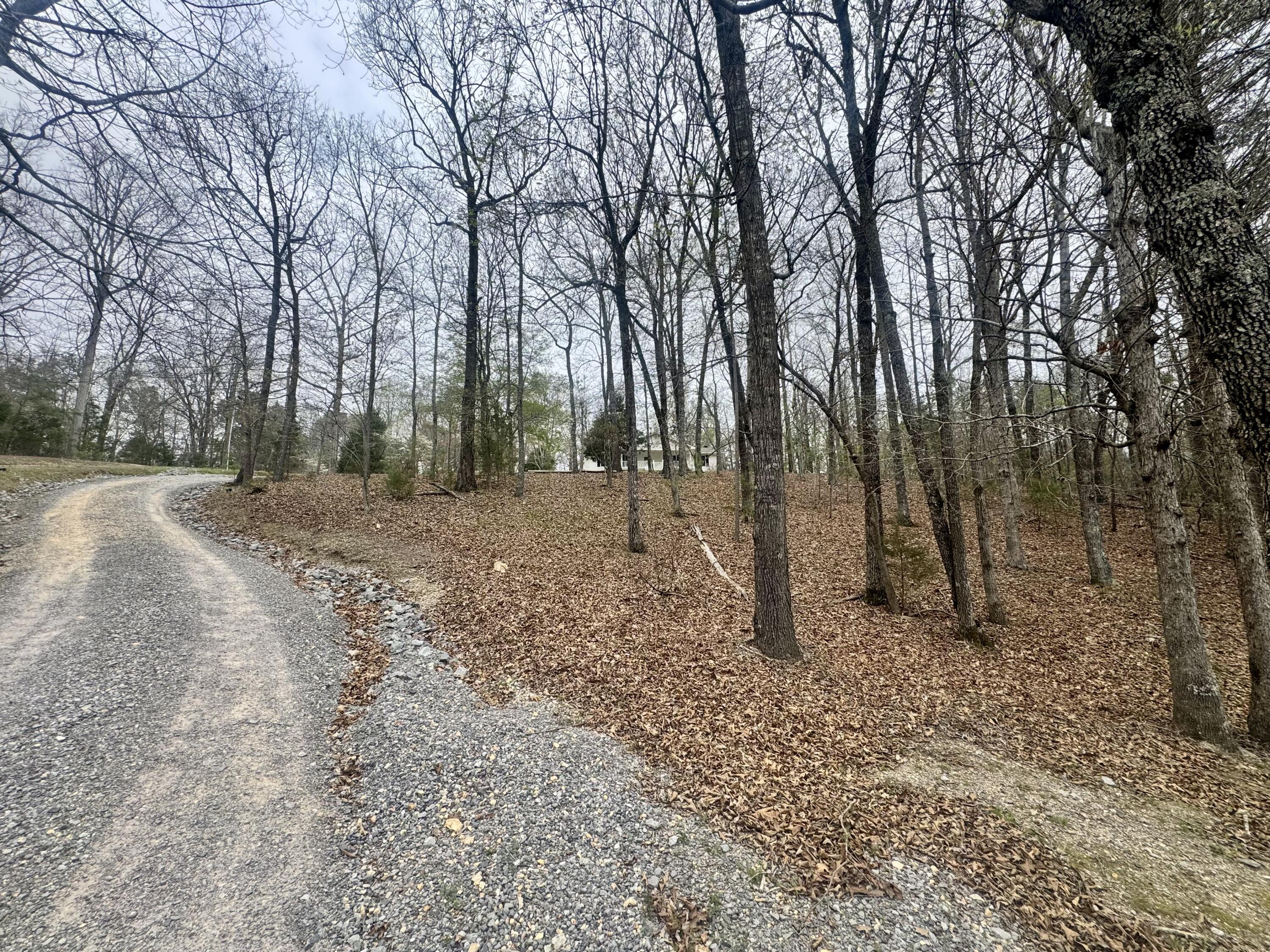 1801 Colbert Hollow Road Rock Spring, GA 30739 - Photo 33 of 38 driveway