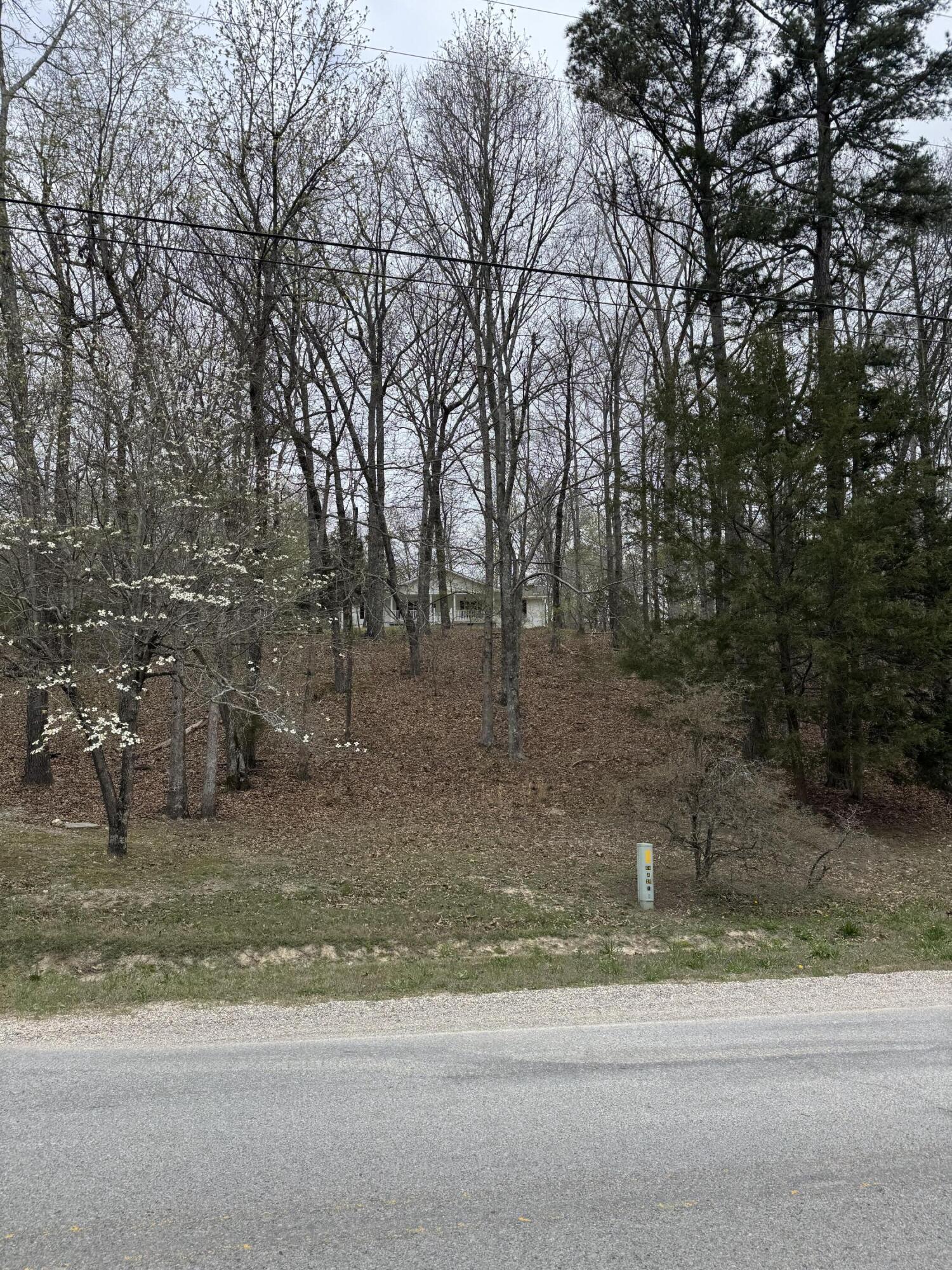 1801 Colbert Hollow Road Rock Spring, GA 30739 - Photo 34 of 38 streetview