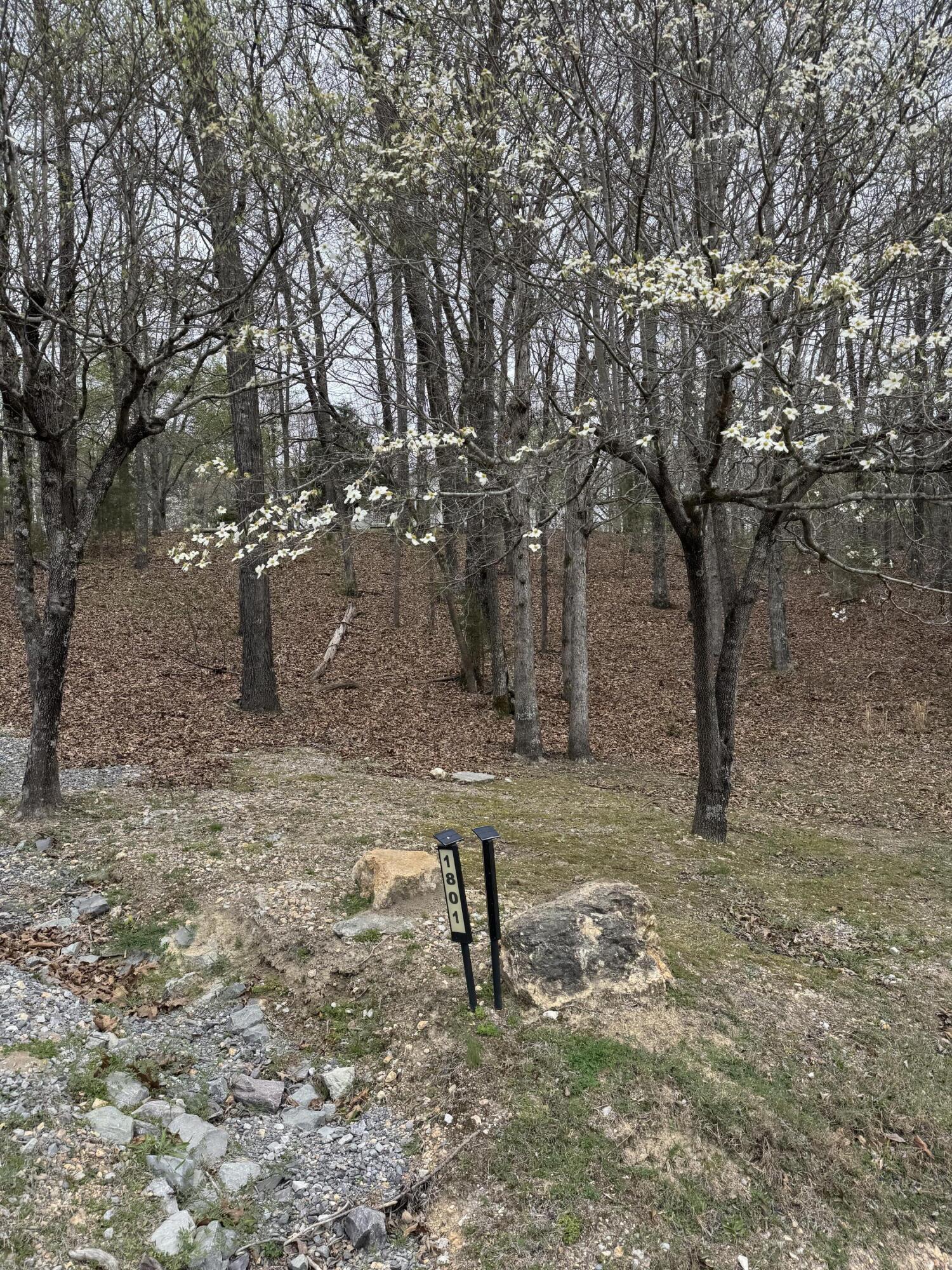 1801 Colbert Hollow Road Rock Spring, GA 30739 - Photo 37 of 38 address pole