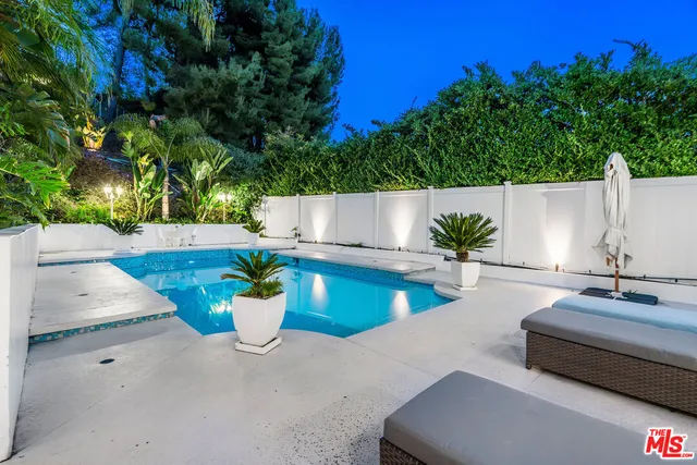 a view of a swimming pool with potted plants