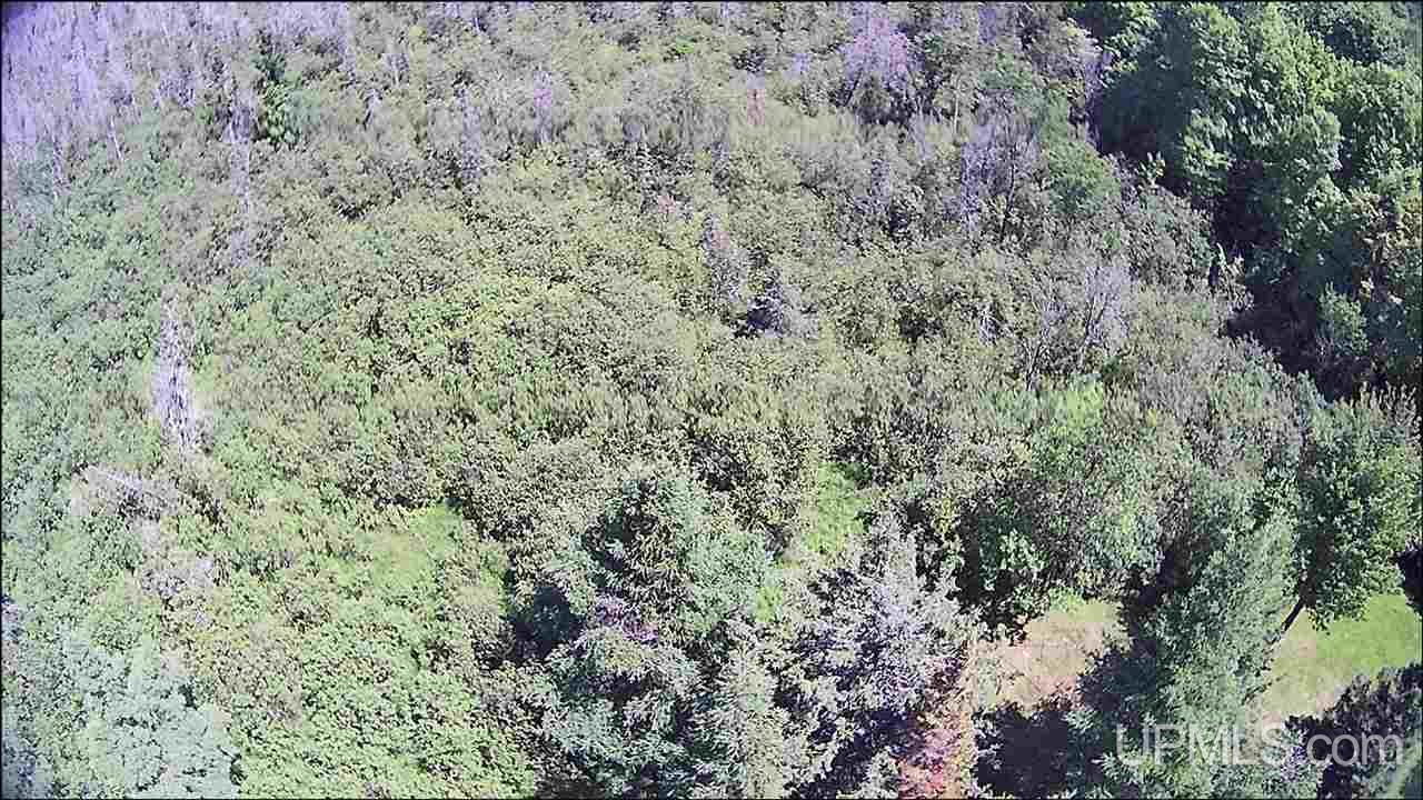 12103 V 25 Road Rapid River, MI 49878 - Photo 10 of 44
