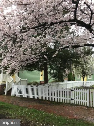 a view of a flower in a yard