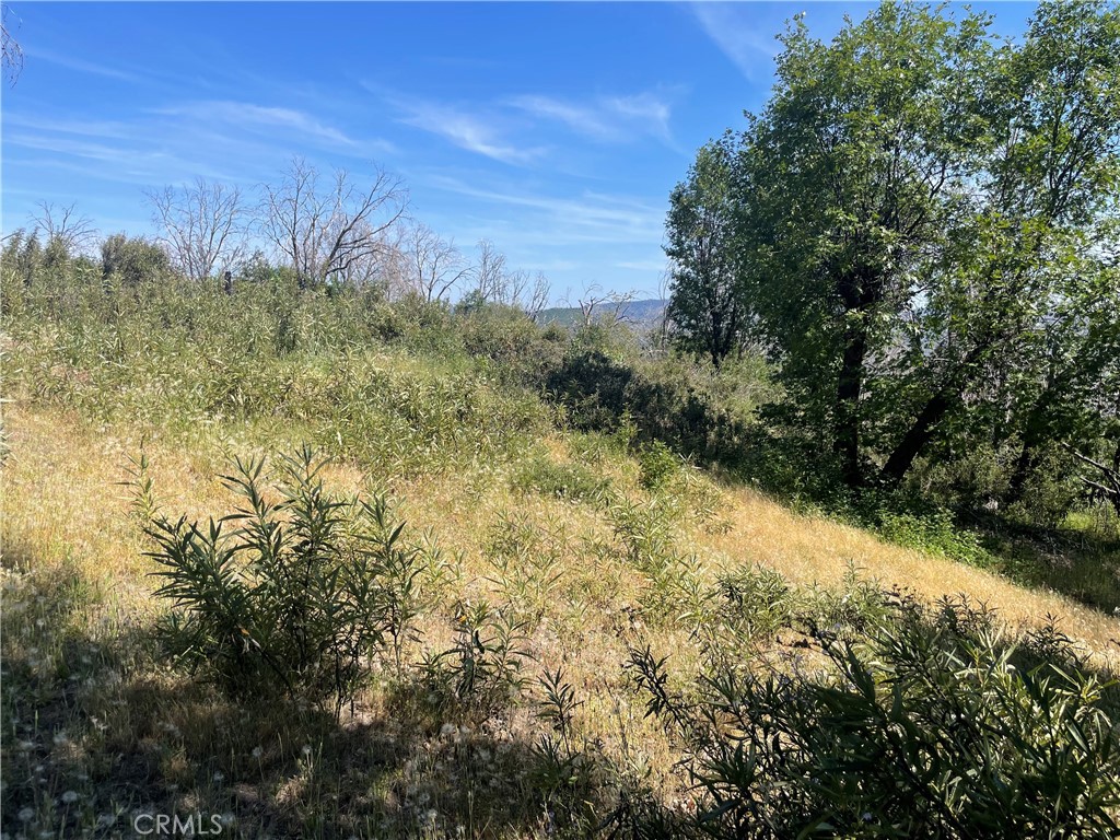 363 Raccoon Road Berry Creek, CA 95916 - Photo 4 of 27