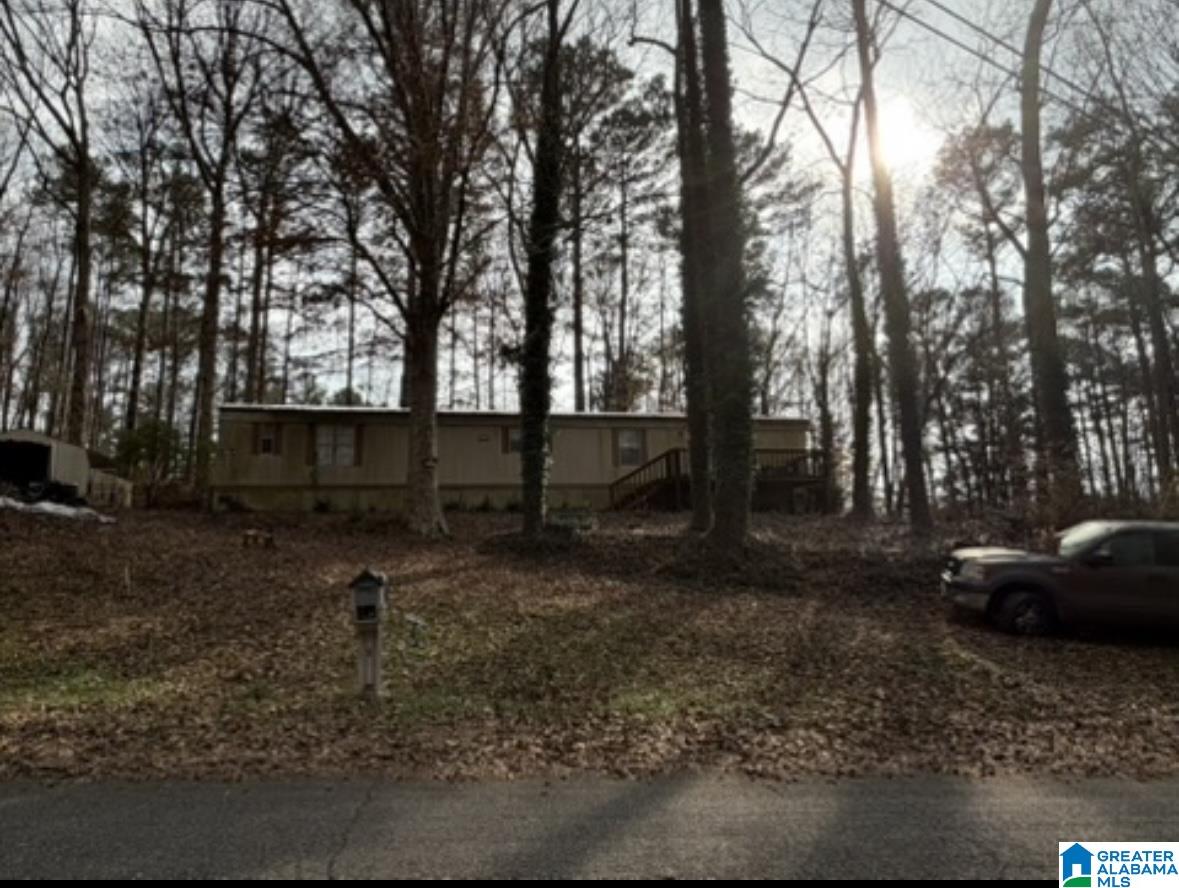 1069 Midway Estates Road Jacksons Gap, AL 36861 - Photo 1 of 26