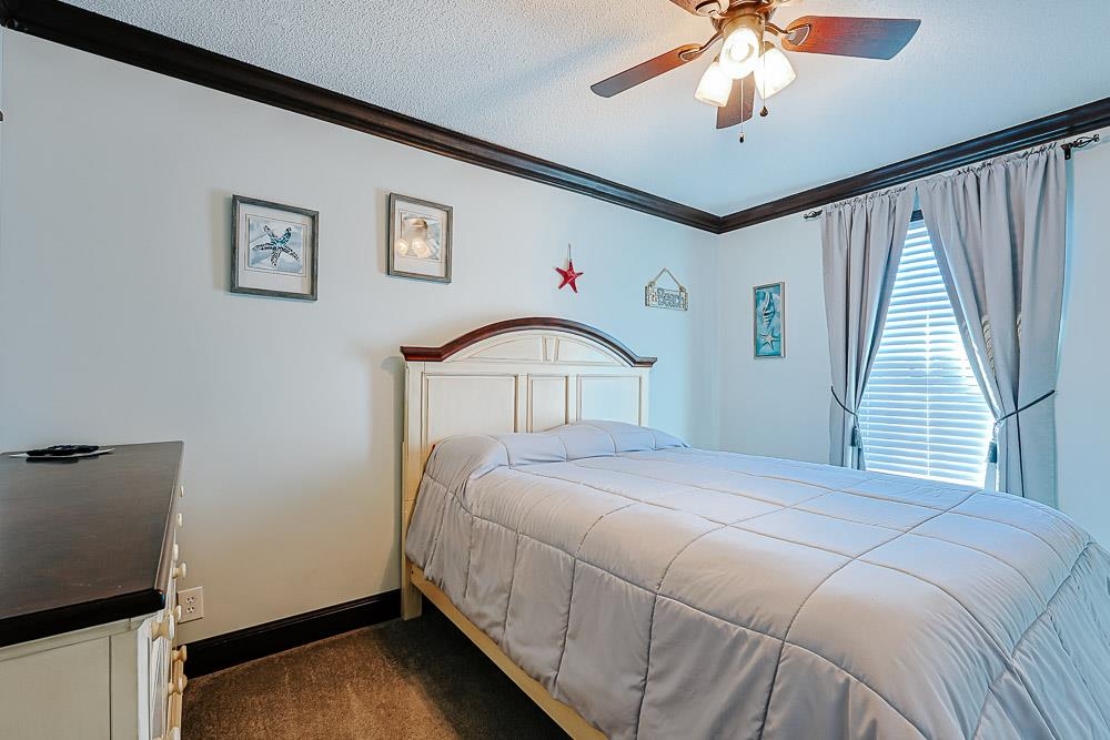 6773 Hampton Road Conway, SC 29527 - Photo 17 of 39 Bedroom featuring ceiling fan, ornamental molding, dark colored carpet, and a textured ceiling