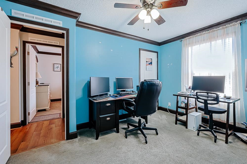 6773 Hampton Road Conway, SC 29527 - Photo 23 of 39 Home office featuring light carpet, crown molding, a textured ceiling, and a ceiling fan