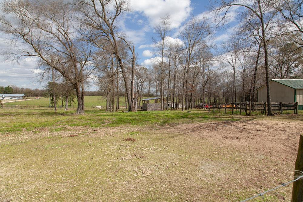 530 Bodie Road Wagener, SC 29164 - Photo 72 of 74 Gallery Image 72