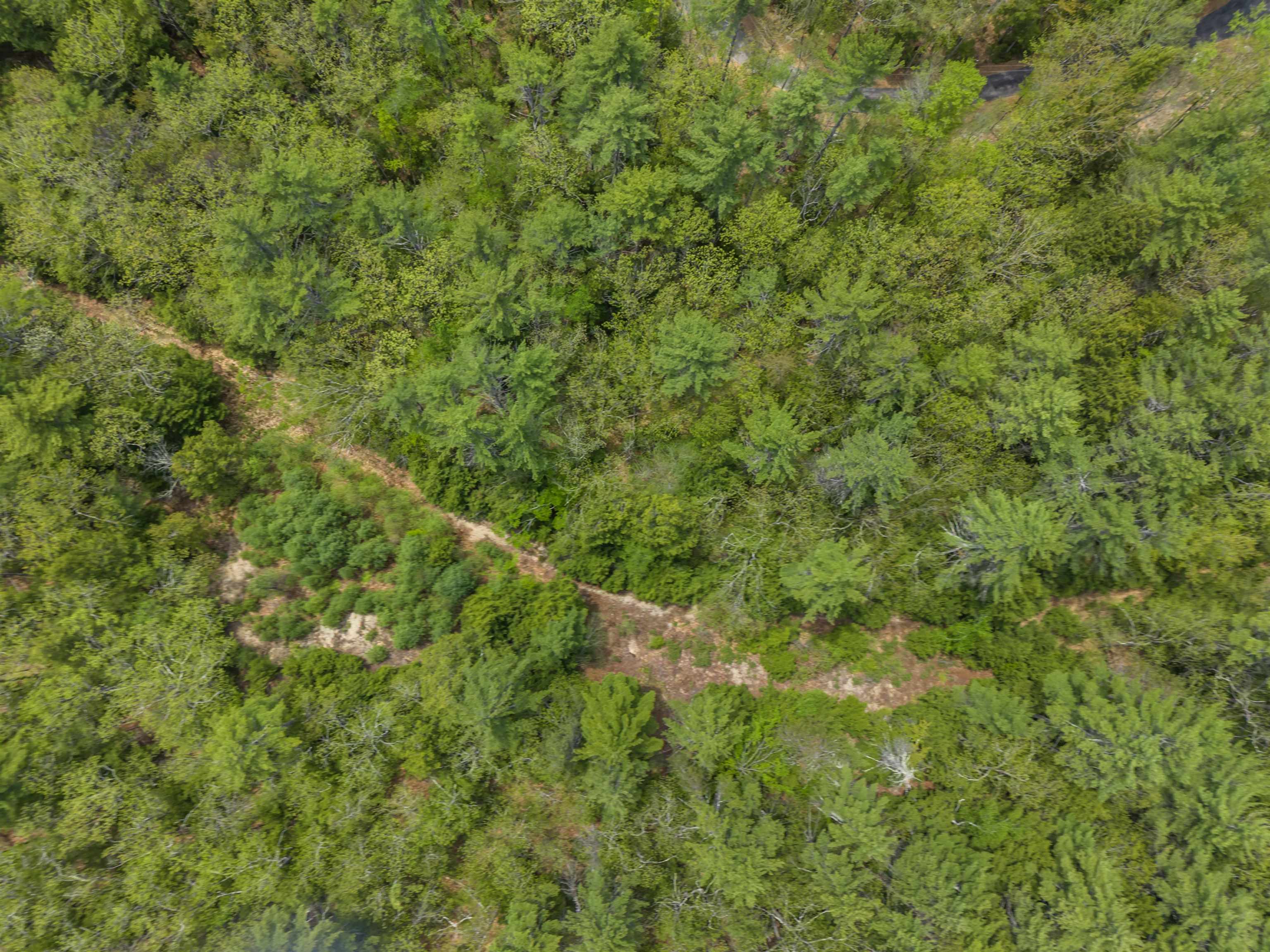 Lot 14 Pine Point Road, Unit 14 New Durham, NH 03855 - Photo 2 of 19
