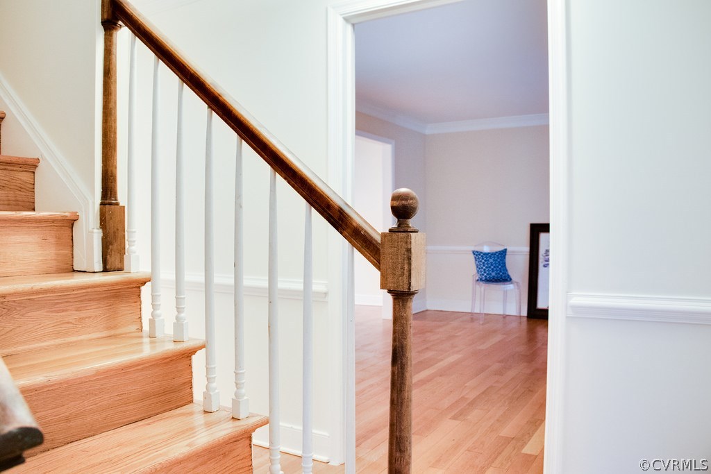 10624 Red Queen Road North Chesterfield, VA 23235 - Photo 15 of 28 Gallery Image 15