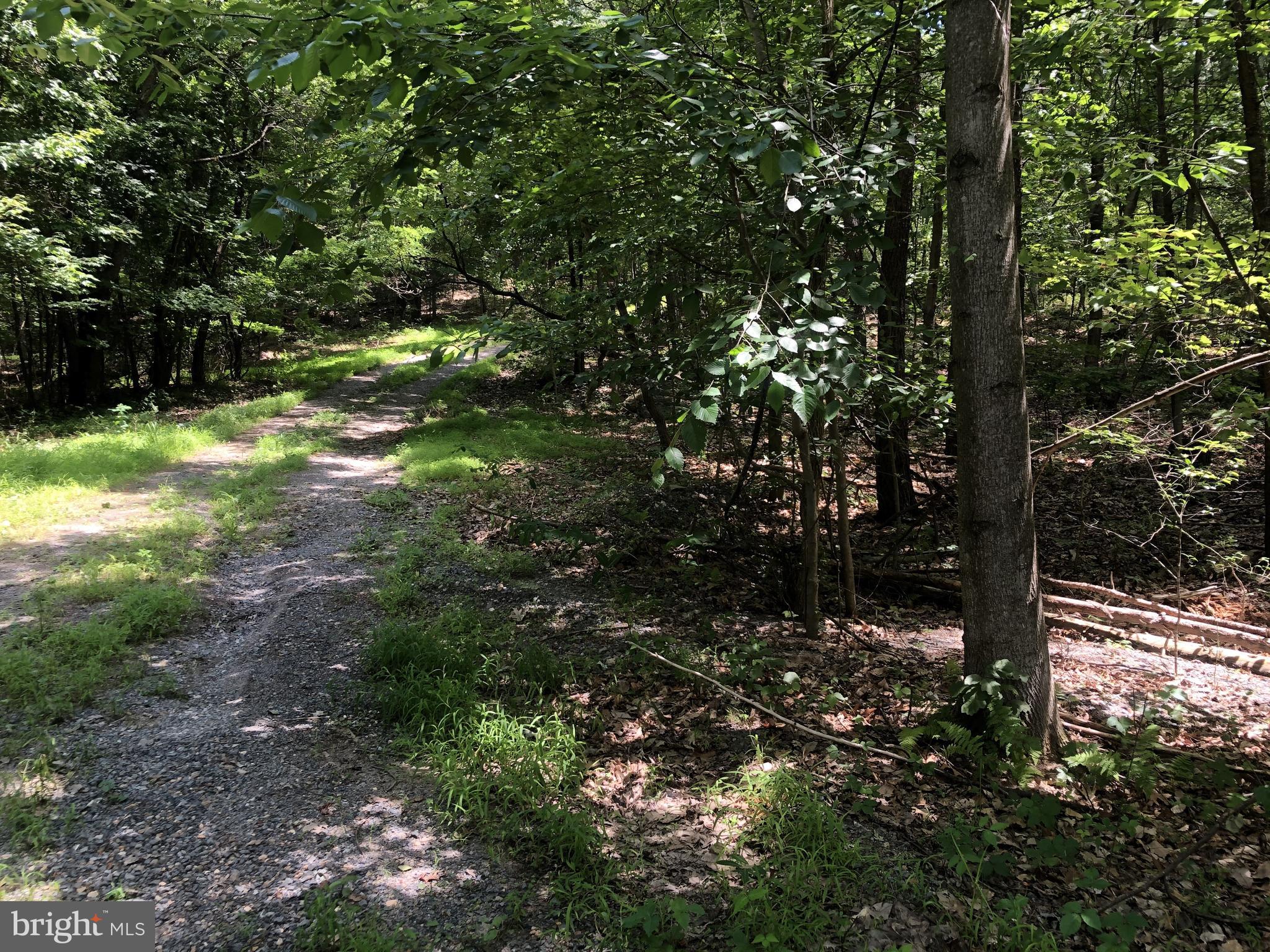 0 Markham Farm Road Front Royal, VA 22630 - Photo 5 of 9 Gallery Image 5