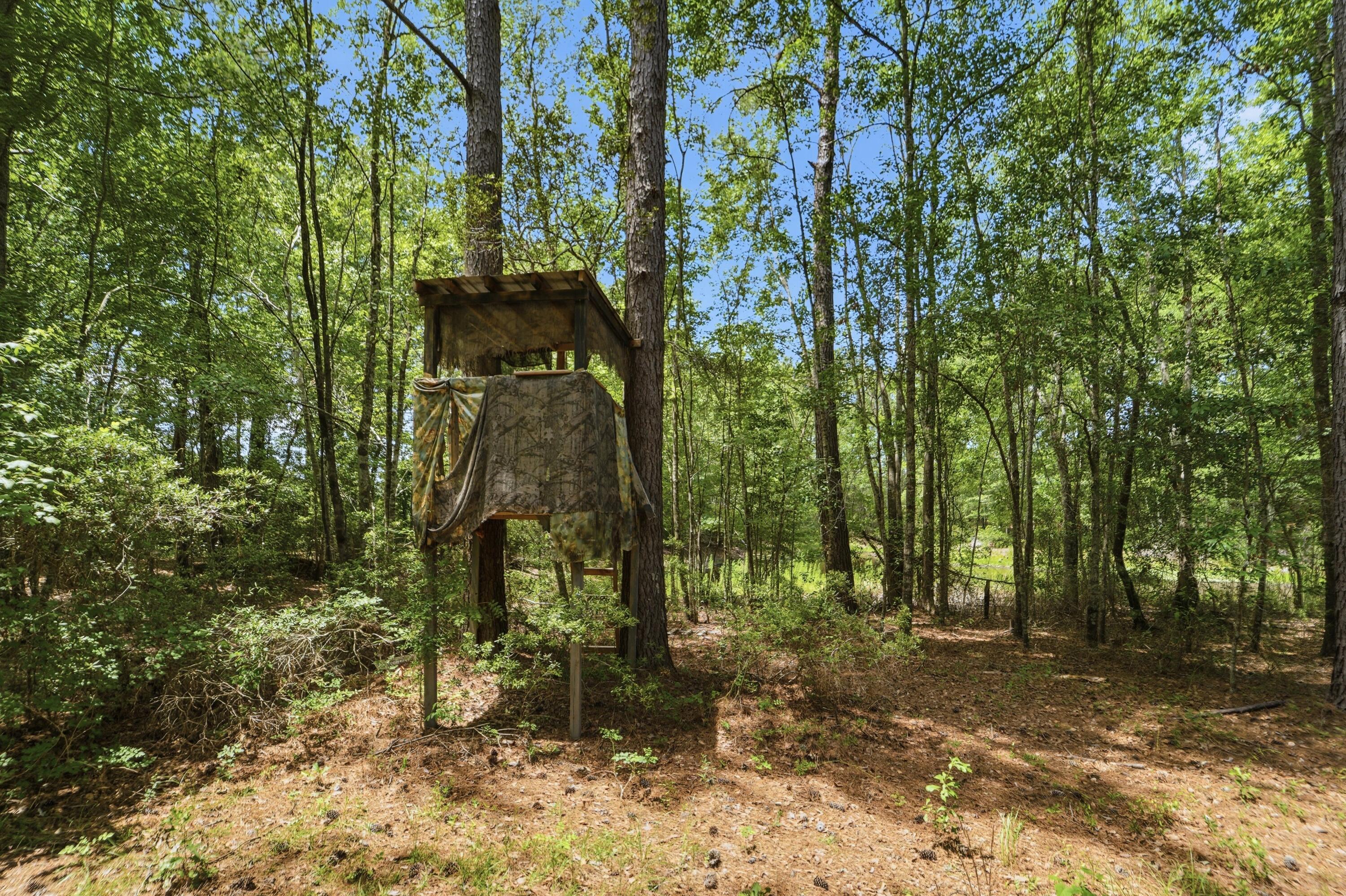 1530 Catfish Lane Manning, SC 29102 - Photo 19 of 37 deer stand