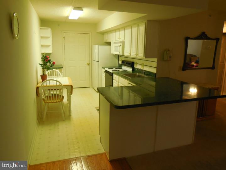 310 Brandon Road Norristown, PA 19403 - Photo 11 of 17 Gallery Image 11