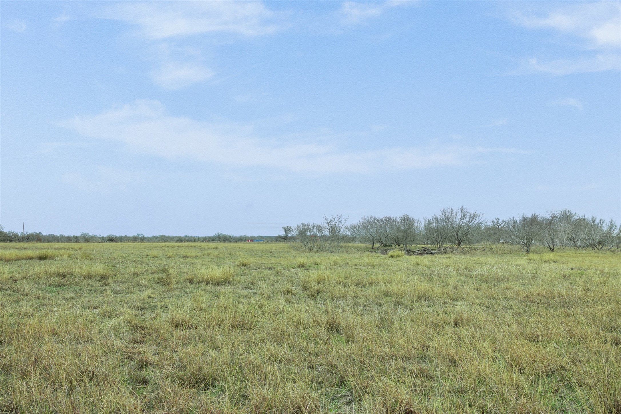 Lot 1 Fm 86 Dale, TX 78616 - Photo 3 of 8 a view of a field with trees in background