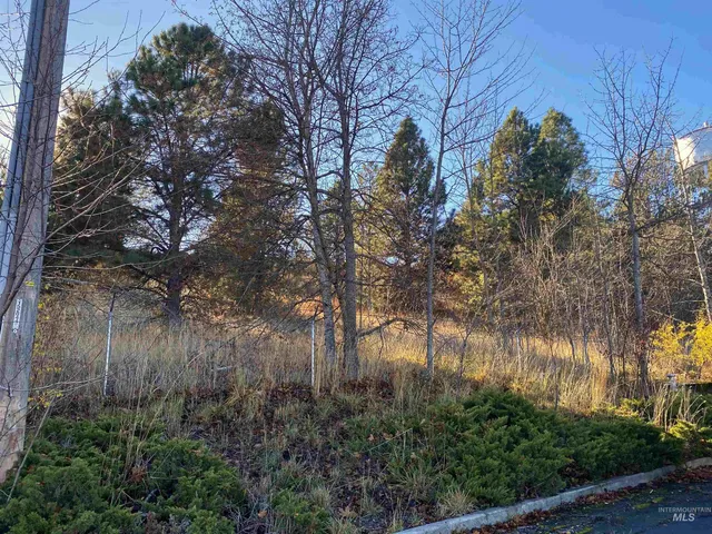 $105,000 | 411 North Almon Street, Unit 327, Moscow, ID 83843