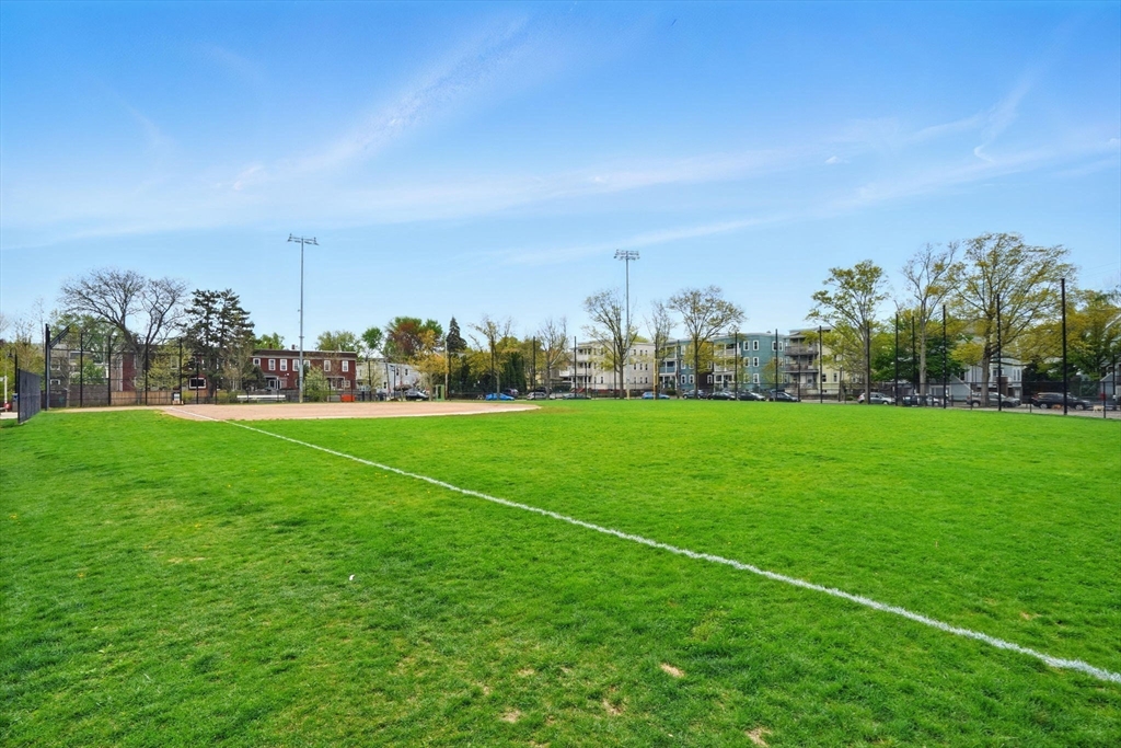 25 Bowdoin Street Somerville, MA 02143 - Photo 26 of 28 a view of field with tall trees in the background