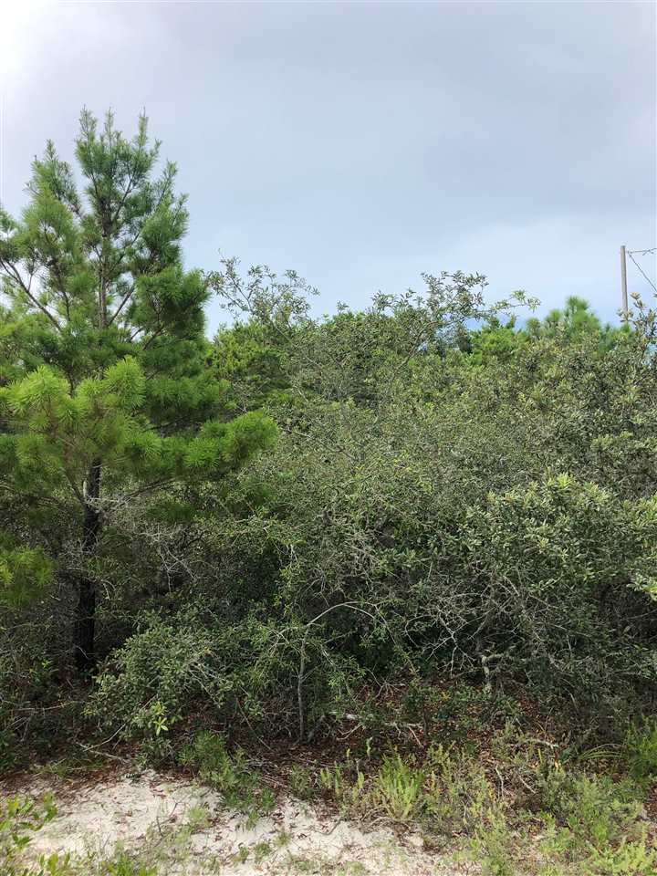 Sea Shell Drive Gulf Shores, AL 36542 - Photo 2 of 4