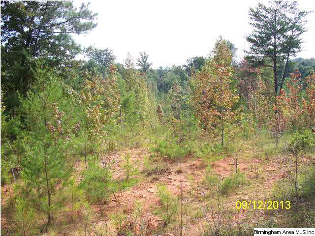 78 Highway 78, Unit 85 Fruithurst, AL 36262 - Photo 9 of 11