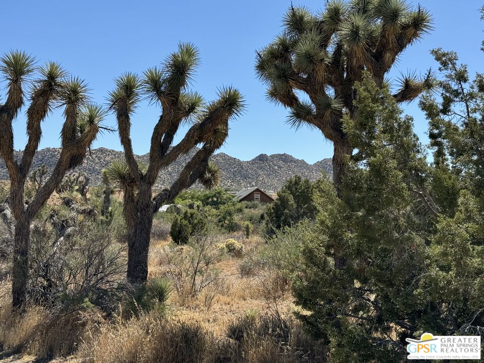 53408 Stud Valley Road Pioneertown, CA 92268 - Photo 7 of 49