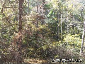40 Merrell Road Leicester, NC 28748 - Photo 1 of 7 Gallery Image 1