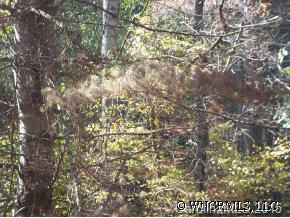 40 Merrell Road Leicester, NC 28748 - Photo 2 of 7 Gallery Image 2