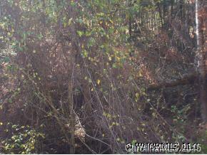 40 Merrell Road Leicester, NC 28748 - Photo 3 of 7 Gallery Image 3