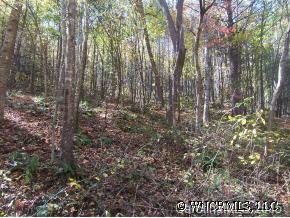 40 Merrell Road Leicester, NC 28748 - Photo 5 of 7 Gallery Image 5