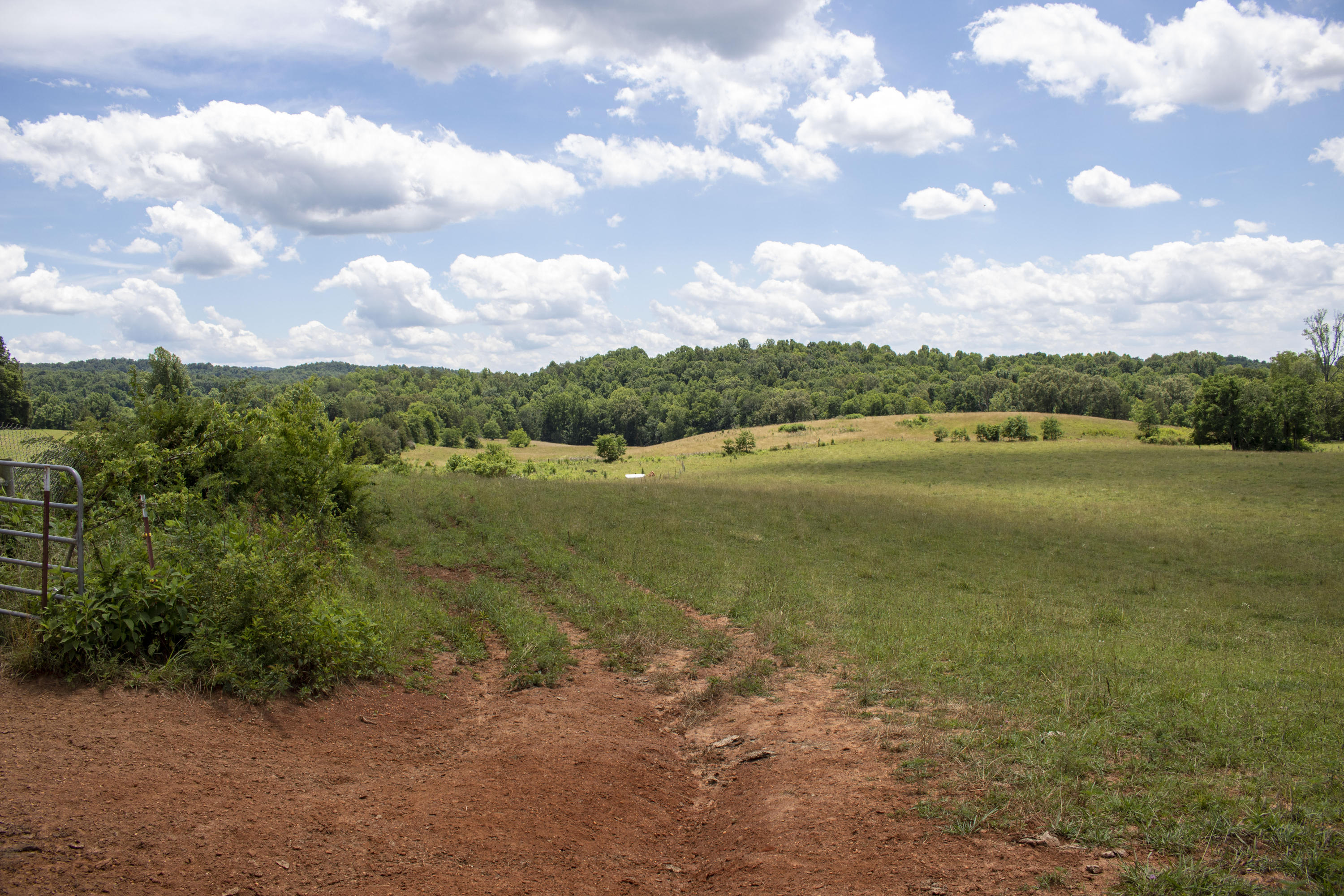Frank Sims Road Sparta, TN 38583 - Photo 22 of 32 IMG_4564_1