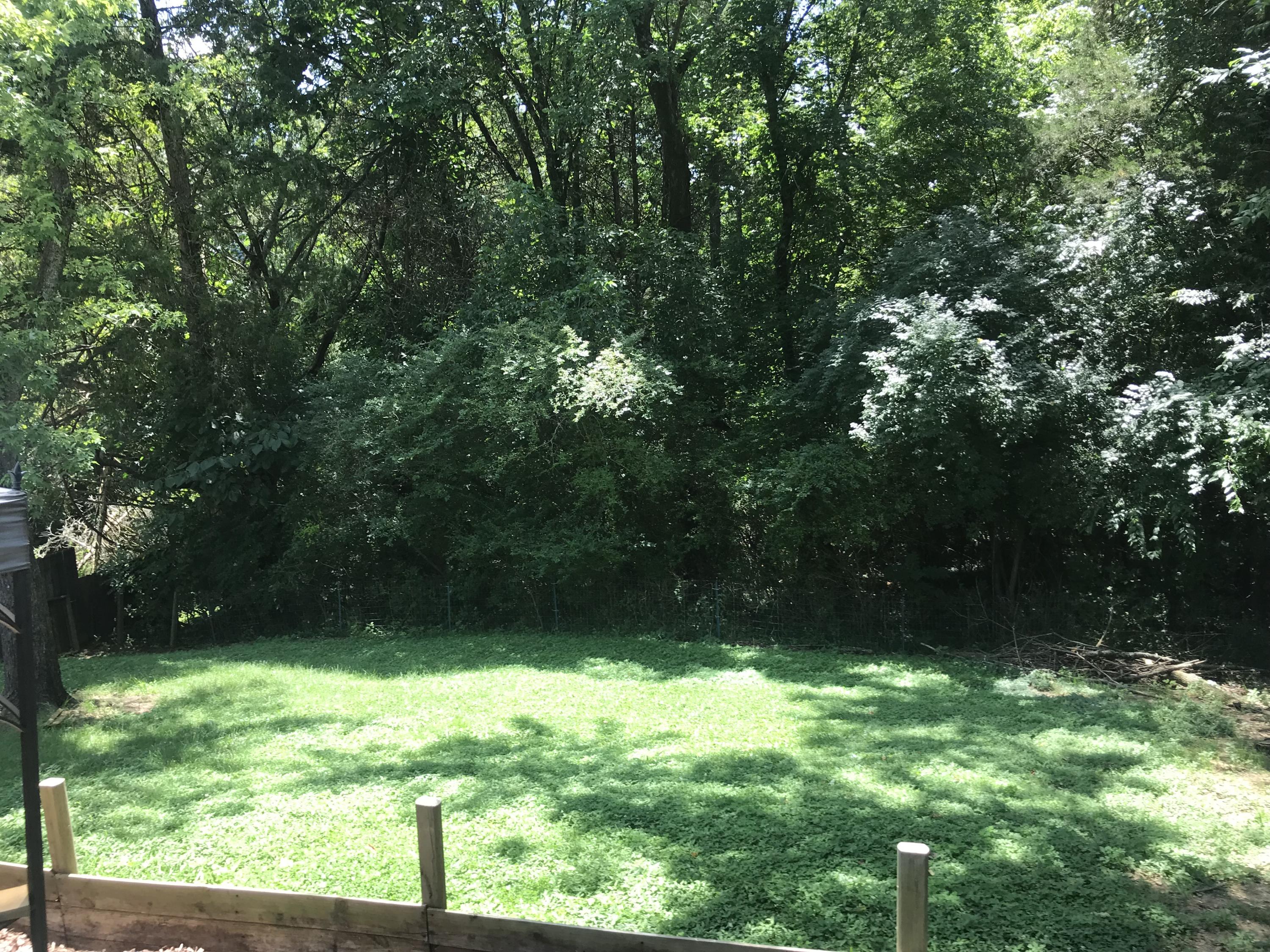 115 Briar Road Oak Ridge, TN 37830 - Photo 2 of 9 Briar backyard