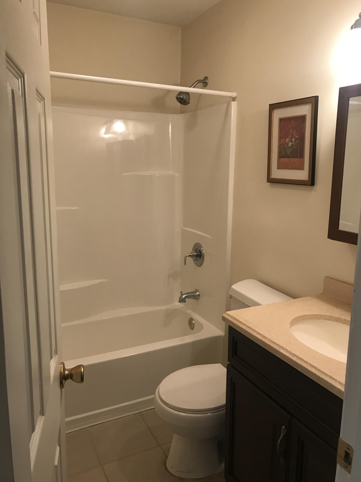 115 Briar Road Oak Ridge, TN 37830 - Photo 6 of 9 Briar bath