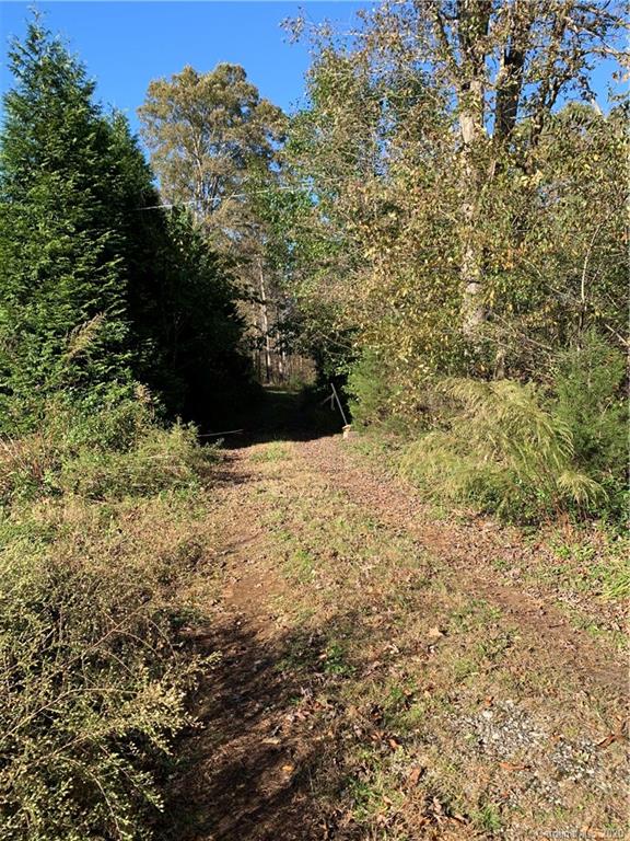 0 Whiteside Road Rutherfordton, NC 28139 - Photo 2 of 13
