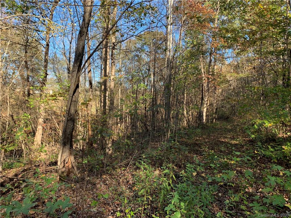 0 Whiteside Road Rutherfordton, NC 28139 - Photo 11 of 13