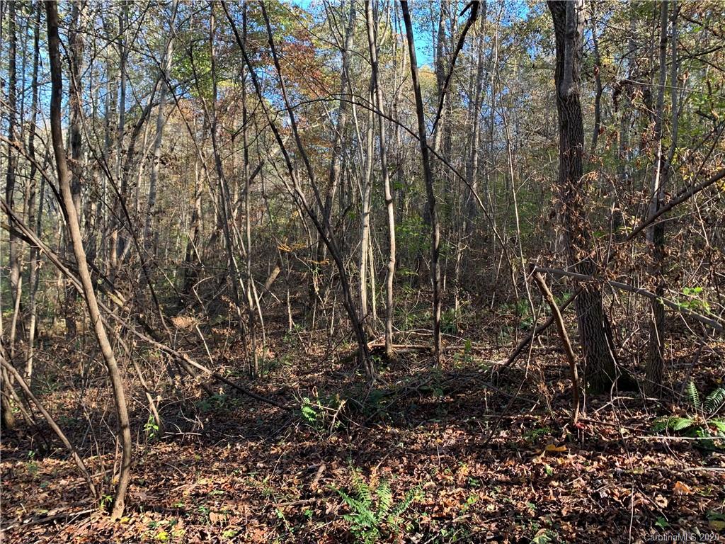 0 Whiteside Road Rutherfordton, NC 28139 - Photo 12 of 13