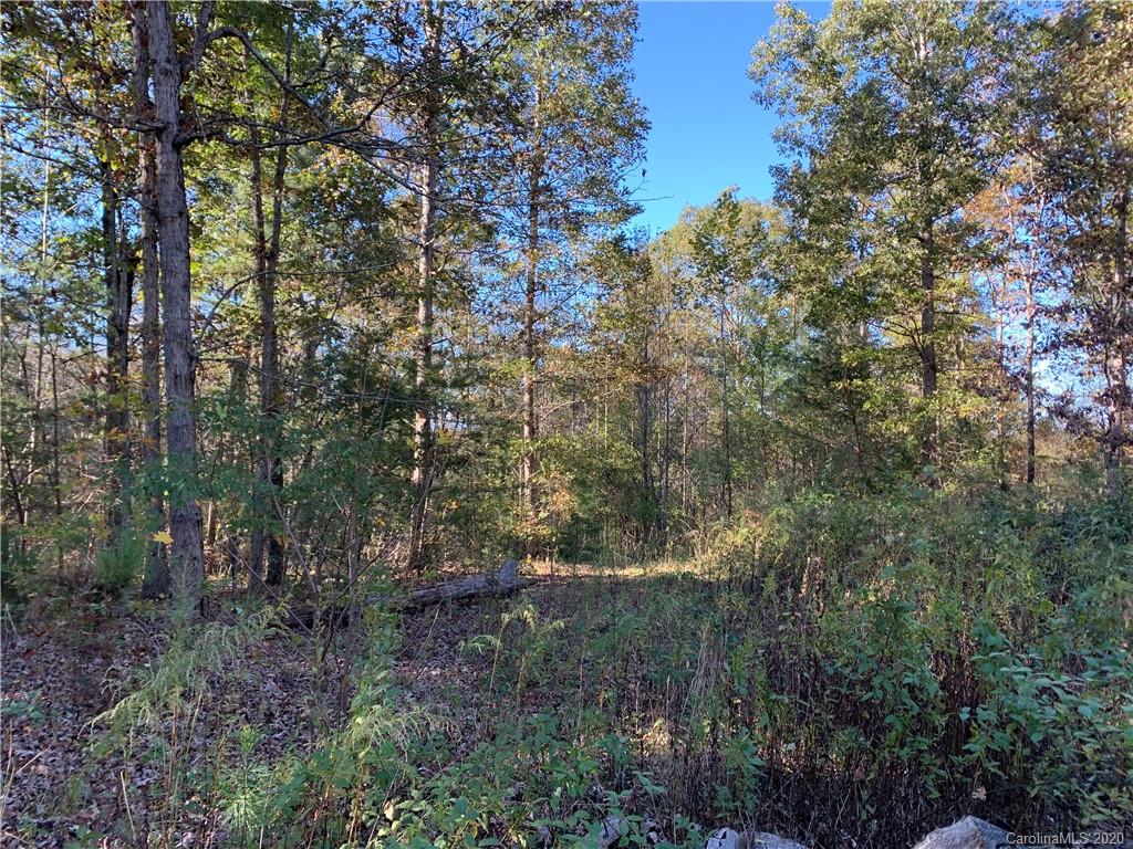0 Whiteside Road Rutherfordton, NC 28139 - Photo 13 of 13
