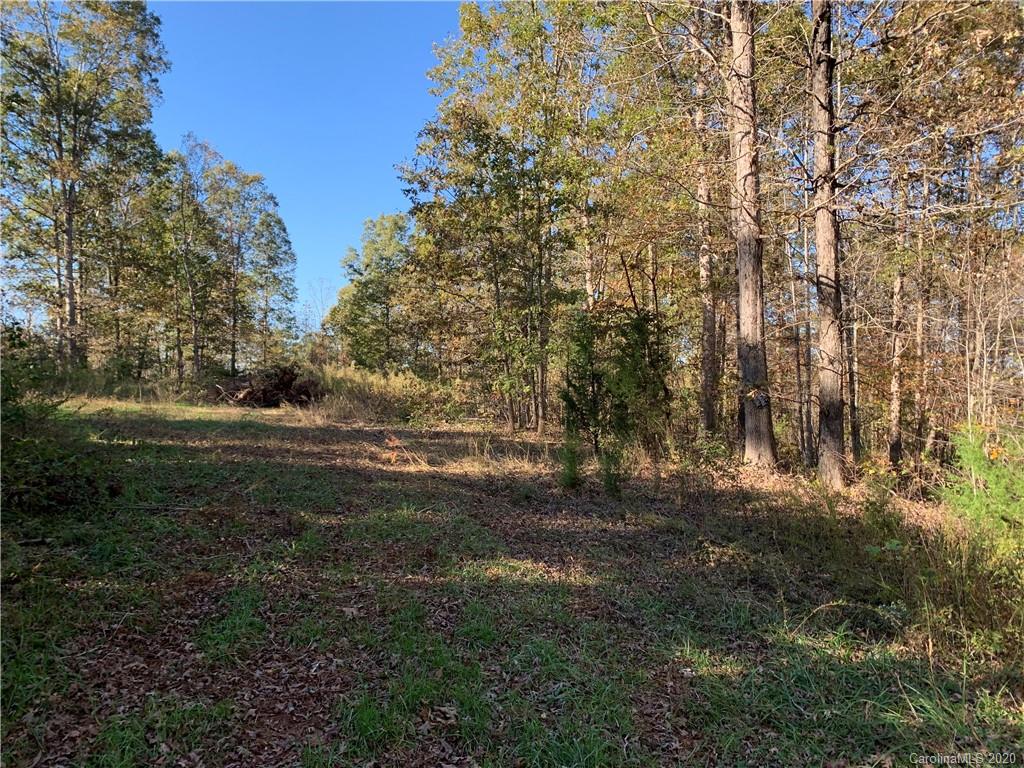 0 Whiteside Road Rutherfordton, NC 28139 - Photo 3 of 13