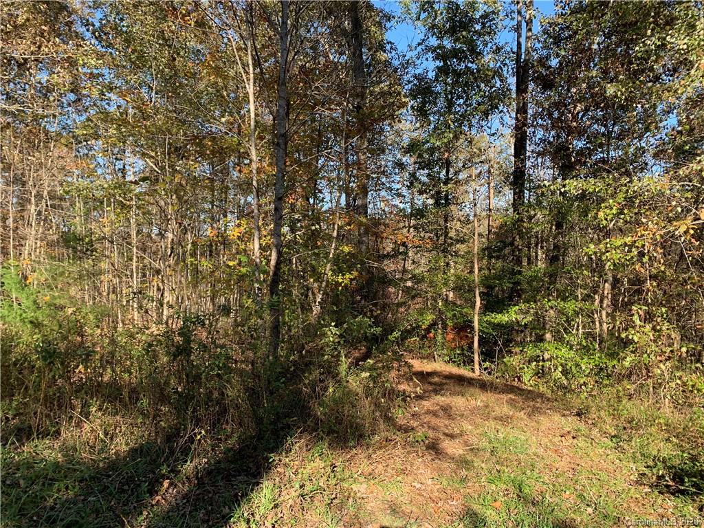 0 Whiteside Road Rutherfordton, NC 28139 - Photo 6 of 13